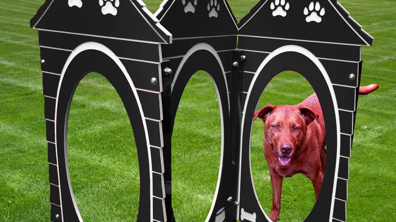 Four Standard Color Options: Black, Blue, Green & Red 