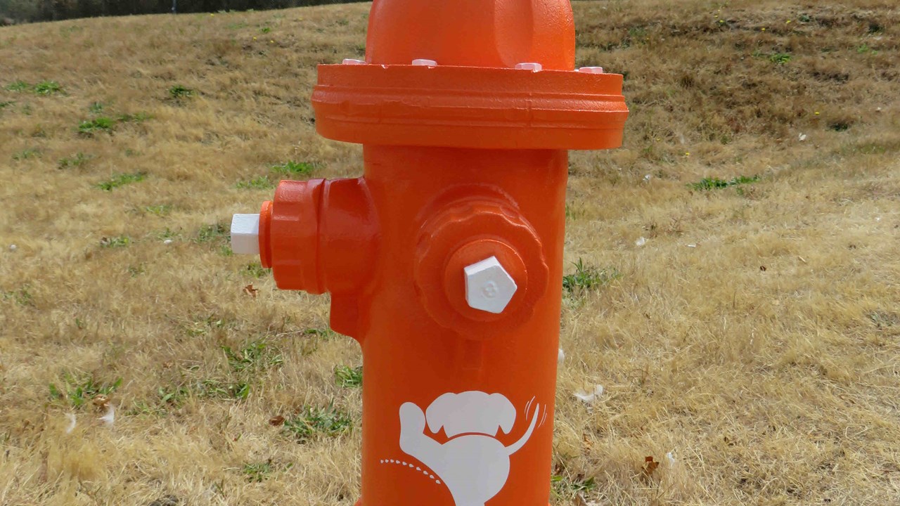 Customize your Fire Hydrant with your community logo and/or colors! 