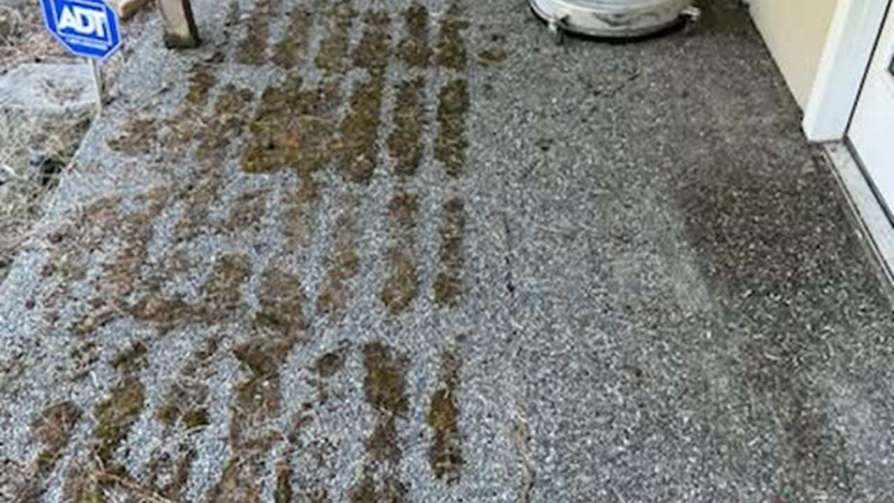 Pressure washing concrete and treating moss