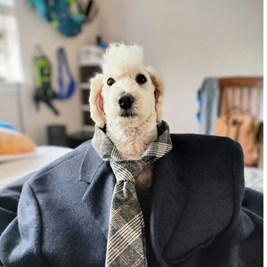 Photo of Brandon Hughes