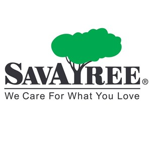 Photo of SavATree