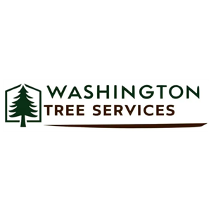 Photo of United Services LLC DBA Washington Tree Services