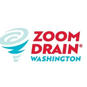 Photo of Zoom Drain of Washington