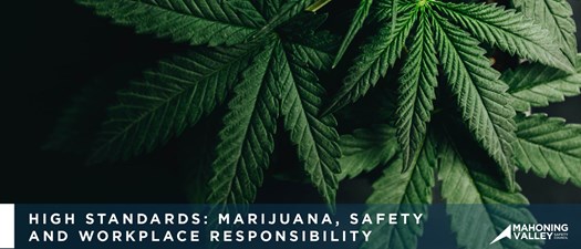 Mahoning Valley Safety Council:  High Standards - Marijuana, Safety and Workplace Responsibility with Ruth Bowdish