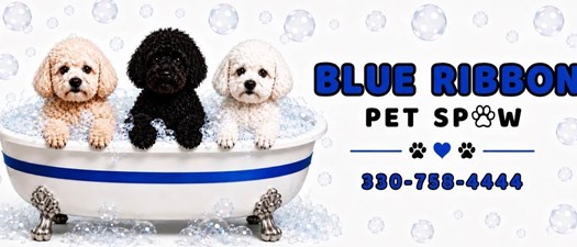 Ribbon Cutting: Blue Ribbon Pet Spaw 