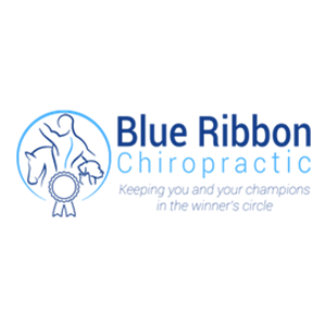 Photo of BLUE RIBBON CHIROPRACTIC