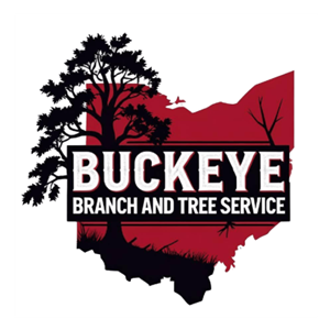 Photo of BUCKEYE BRANCH & TREE SERVICE