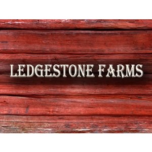 Photo of LEDGESTONE FARMS