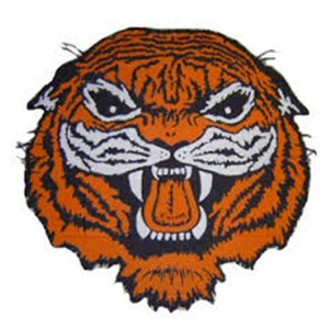 Photo of NEWTON FALLS EXEMPTED VILLAGE SCHOOLS