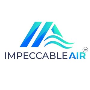 Photo of IMPECCABLE AIR